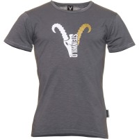 Steinwild T-Shirt "Logo" goldgrey XS